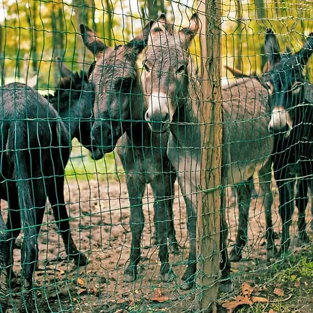 Podere Brughee Villa